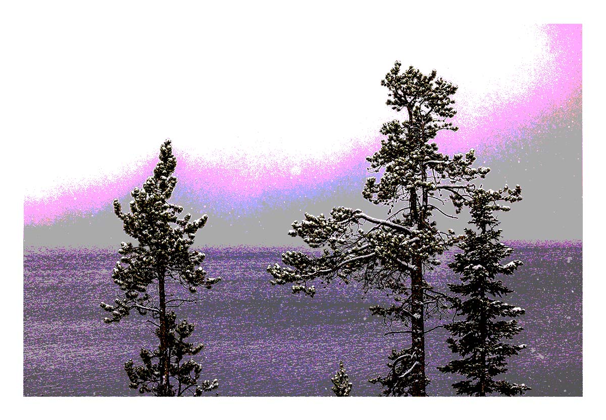 Grand Teton NP